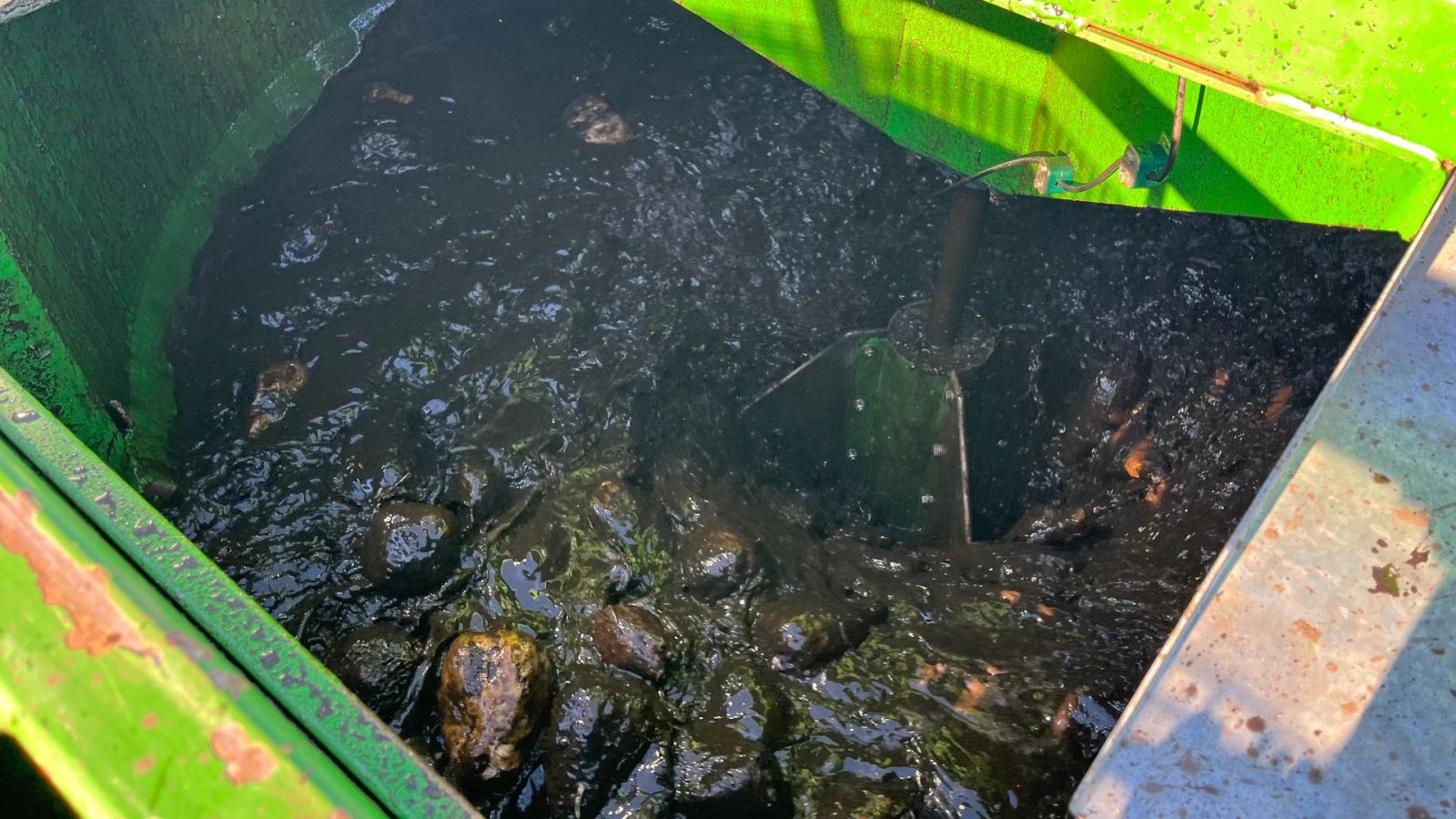 Sonstige Kartoffeltechnik des Typs Cross Elephant vaskere og snittere op til 100 Ton/timen, Gebrauchtmaschine in Løgumkloster (Bild 18)