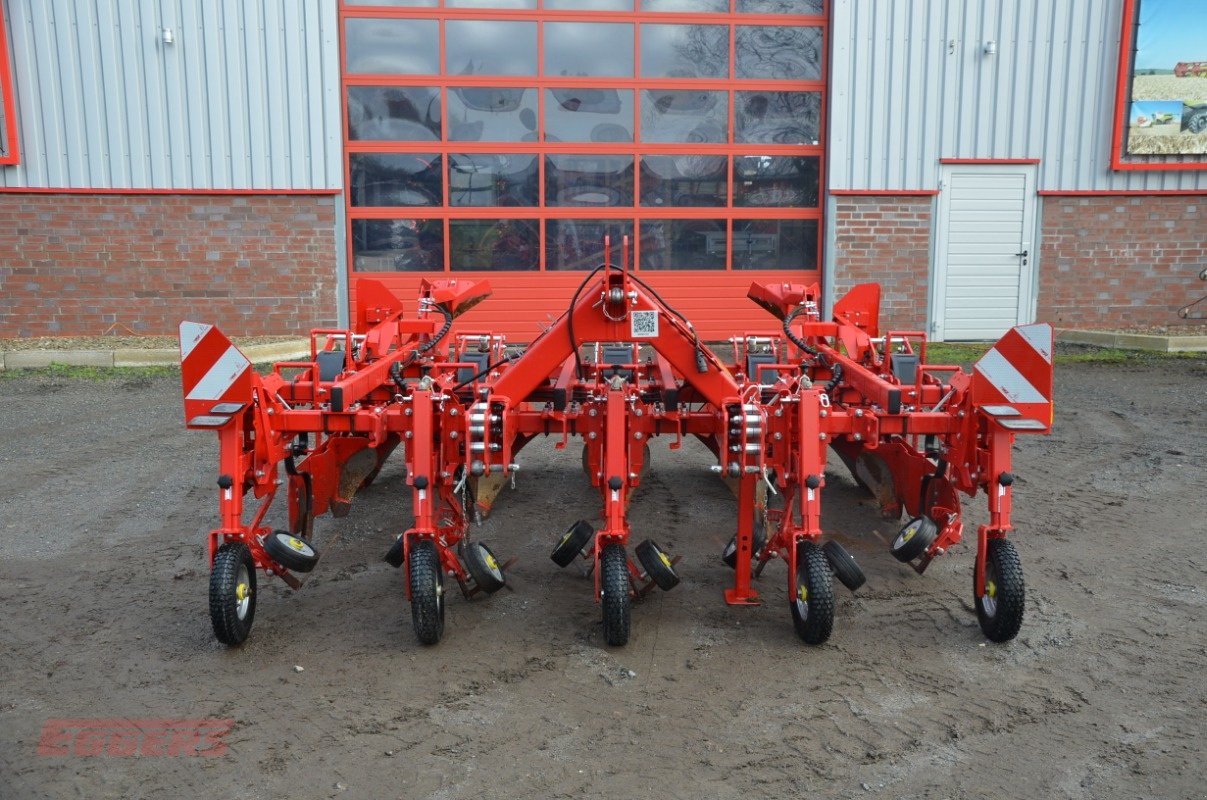 Sonstige Kartoffeltechnik des Typs Grimme GH 4 Öko, Neumaschine in Ebstorf (Bild 1)