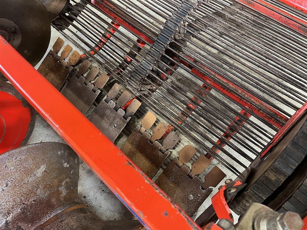 Sonstige Kartoffeltechnik typu Grimme GZ 1700 Frilægger, Gebrauchtmaschine v Haderup (Obrázek 11)