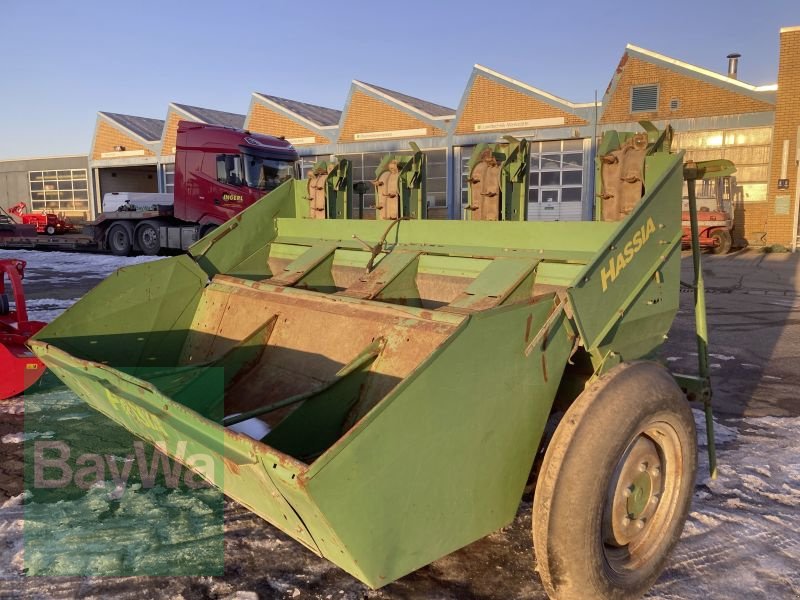 Sonstige Kartoffeltechnik типа Hassia GLB 4D, Gebrauchtmaschine в Schwarzenfeld (Фотография 3)