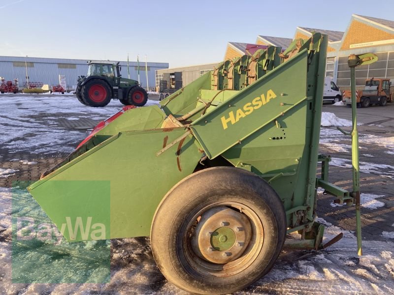 Sonstige Kartoffeltechnik типа Hassia GLB 4D, Gebrauchtmaschine в Schwarzenfeld (Фотография 4)