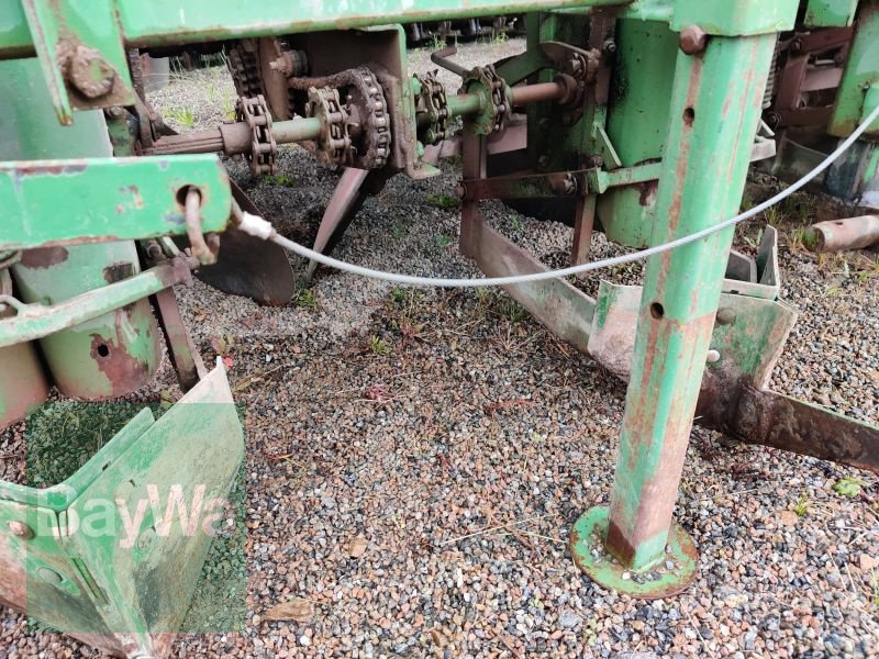 Sonstige Kartoffeltechnik типа Hassia GLB 4D, Gebrauchtmaschine в Schwarzenfeld (Фотография 16)