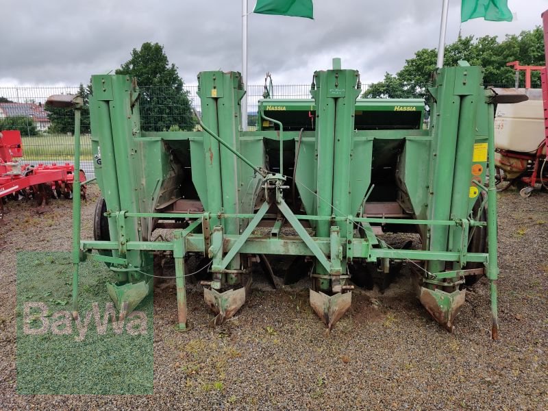 Sonstige Kartoffeltechnik типа Hassia GLB 4D, Gebrauchtmaschine в Schwarzenfeld (Фотография 9)