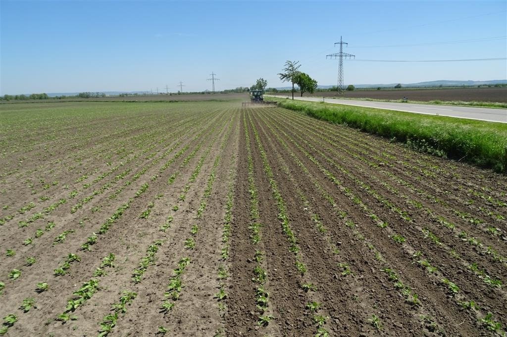 Sonstige Kartoffeltechnik tip Hatzenbichler 12 rk Inkl afgrødebeskyttere, Gebrauchtmaschine in Sabro (Poză 4)