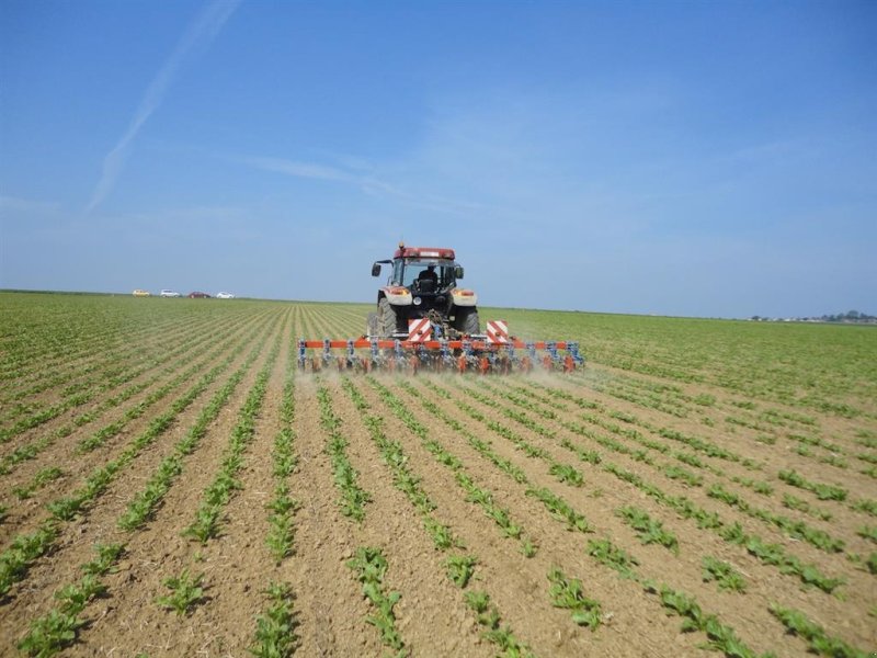 Sonstige Kartoffeltechnik tip Hatzenbichler 12 rk Inkl afgrødebeskyttere, Gebrauchtmaschine in Sabro (Poză 1)