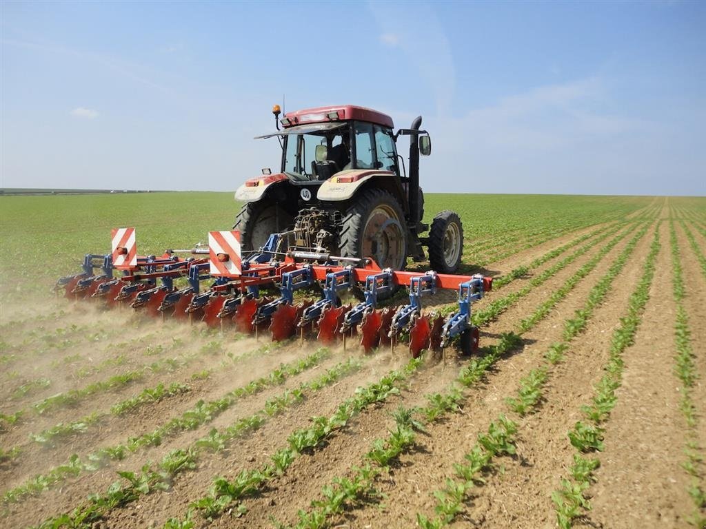 Sonstige Kartoffeltechnik tip Hatzenbichler 12 rk Inkl afgrødebeskyttere, Gebrauchtmaschine in Sabro (Poză 2)