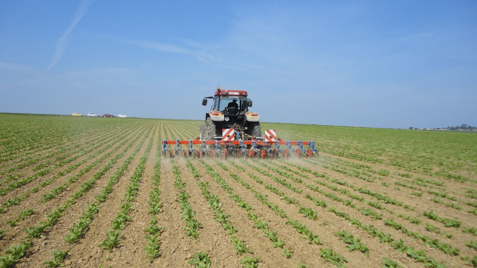 Sonstige Kartoffeltechnik typu Hatzenbichler 12R - 50 12 rækker / 50 cm, Gebrauchtmaschine v Sabro (Obrázek 3)