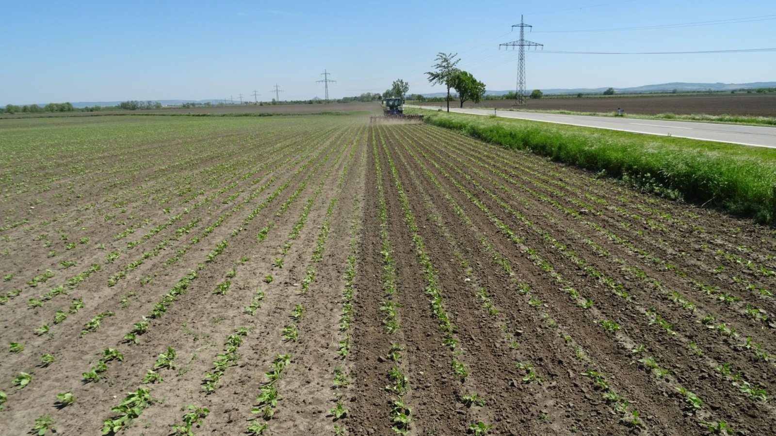 Sonstige Kartoffeltechnik typu Hatzenbichler 12R - 50 12 rækker / 50 cm, Gebrauchtmaschine v Sabro (Obrázek 5)