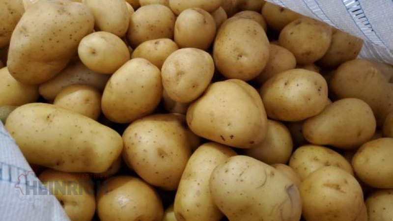 Sonstige Kartoffeltechnik typu KMK Polierer, Polisher VS1220, Neumaschine v Ehekirchen (Obrázek 13)