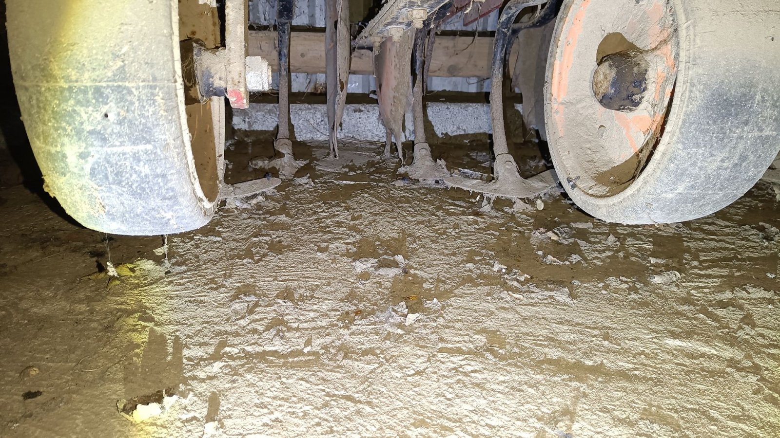 Sonstige Kartoffeltechnik a típus Kongskilde 5 rækket, Gebrauchtmaschine ekkor: Egtved (Kép 4)