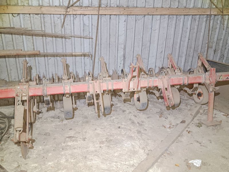 Sonstige Kartoffeltechnik a típus Kongskilde 5 rækket, Gebrauchtmaschine ekkor: Egtved (Kép 1)