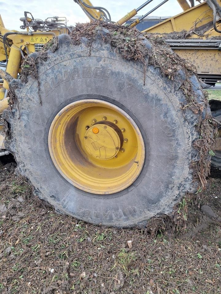 Sonstige Kartoffeltechnik του τύπου ROPA MAUS 4, Gebrauchtmaschine σε Maribo (Φωτογραφία 4)