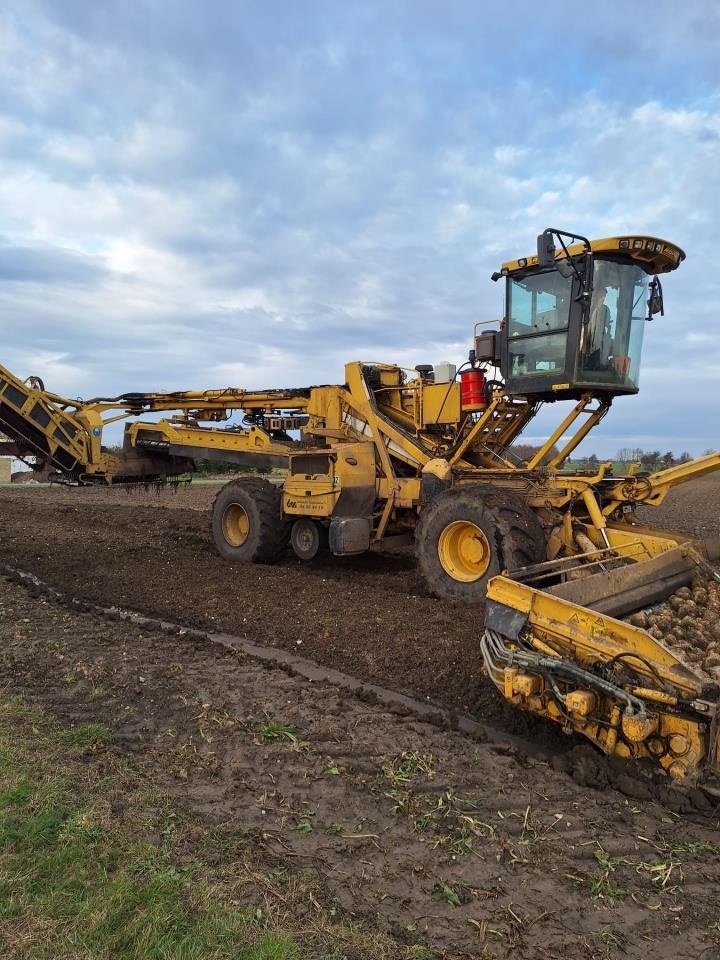 Sonstige Kartoffeltechnik του τύπου ROPA MAUS 4, Gebrauchtmaschine σε Maribo (Φωτογραφία 1)