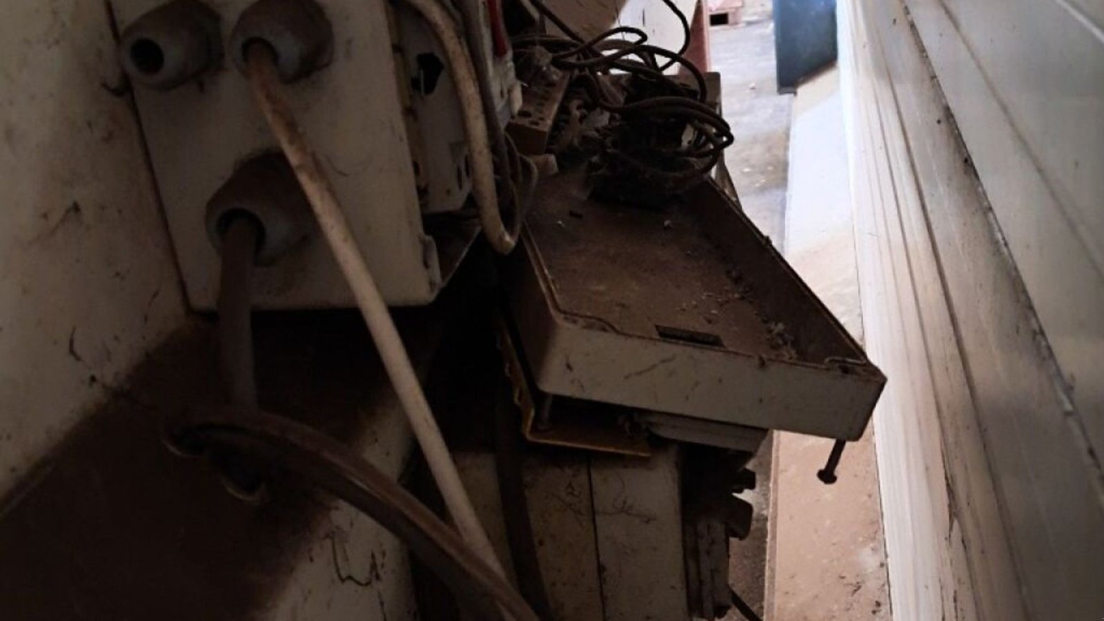 Sonstige Kartoffeltechnik типа Skals kartoffelsorteringsanlæg, Gebrauchtmaschine в Rødovre (Фотография 5)