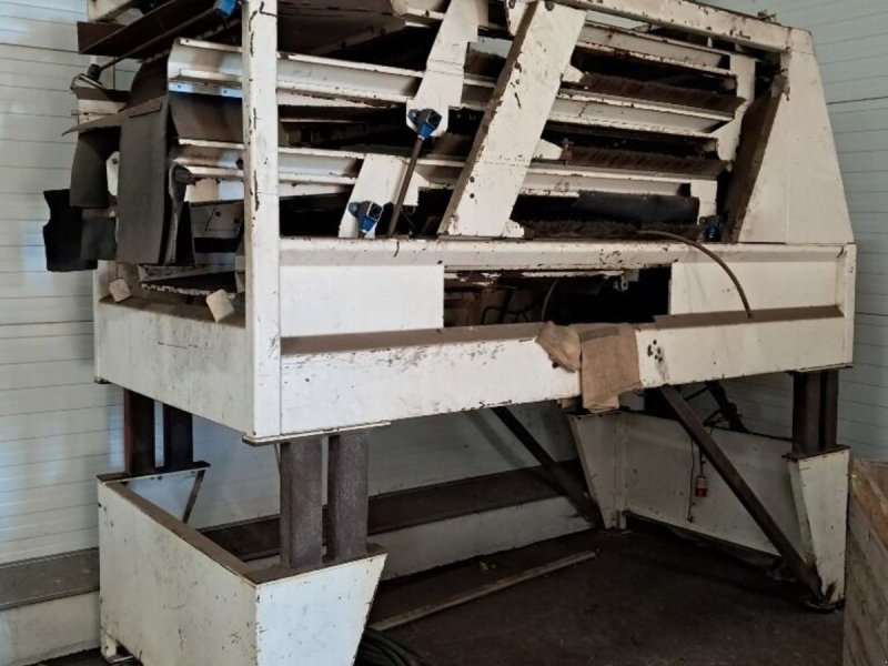 Sonstige Kartoffeltechnik typu Skals Sorteringsanlæg, Gebrauchtmaschine w Rødovre (Zdjęcie 1)