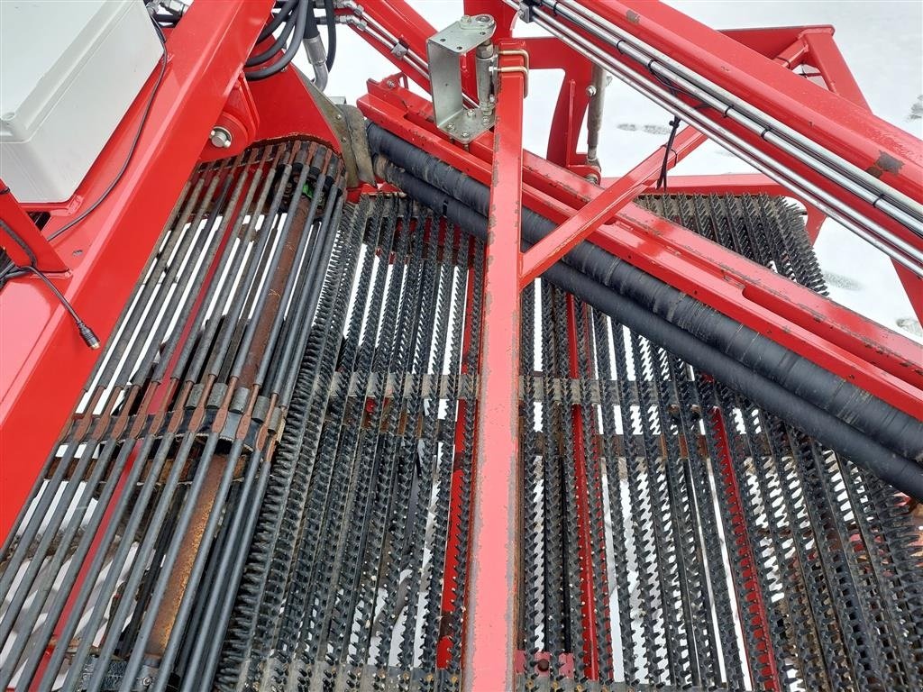 Sonstige Kartoffeltechnik des Typs Sonstige AMAC 3 RK. Frilægger, Gebrauchtmaschine in Bording (Bild 14)