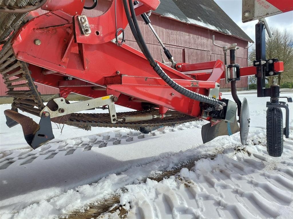 Sonstige Kartoffeltechnik des Typs Sonstige AMAC 3 RK. Frilægger, Gebrauchtmaschine in Bording (Bild 22)