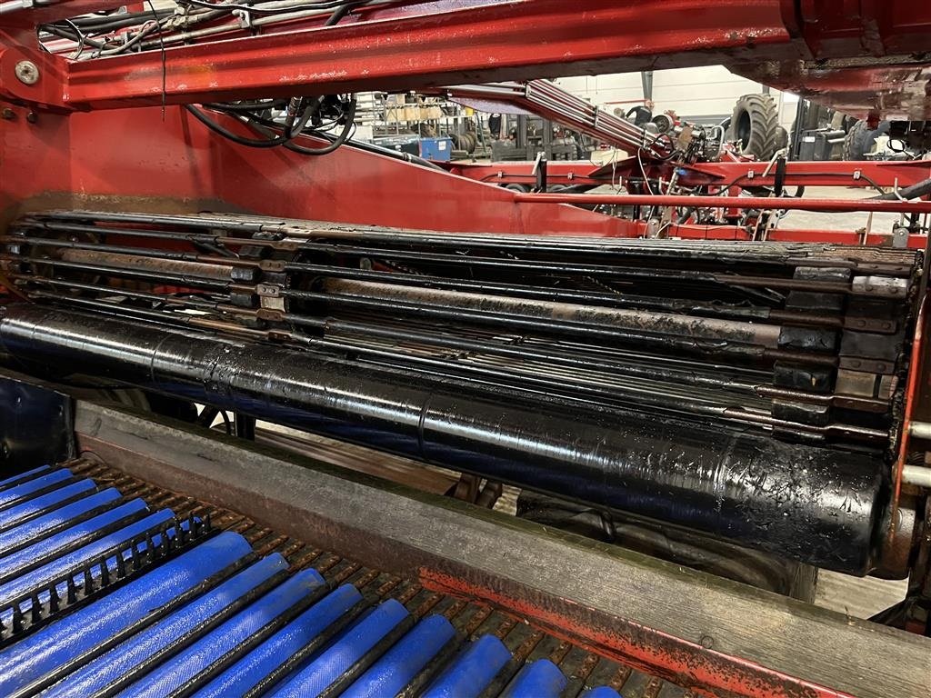 Sonstige Kartoffeltechnik van het type Sonstige AMAC 4 Rækket frilægger VRA 3600, Gebrauchtmaschine in Haderup (Foto 16)