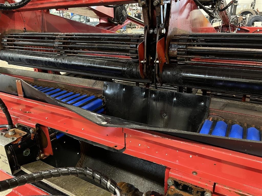 Sonstige Kartoffeltechnik van het type Sonstige AMAC 4 Rækket frilægger VRA 3600, Gebrauchtmaschine in Haderup (Foto 17)