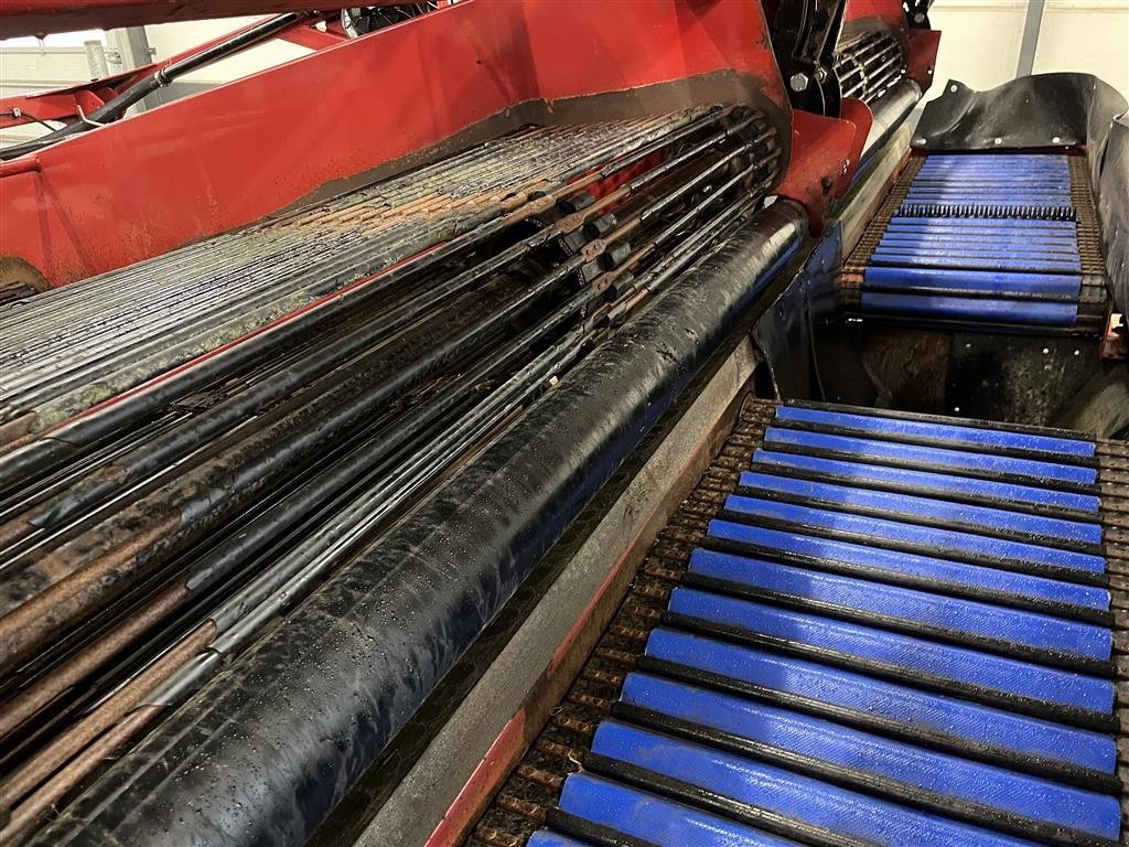 Sonstige Kartoffeltechnik van het type Sonstige AMAC 4 Rækket frilægger VRA 3600, Gebrauchtmaschine in Haderup (Foto 23)