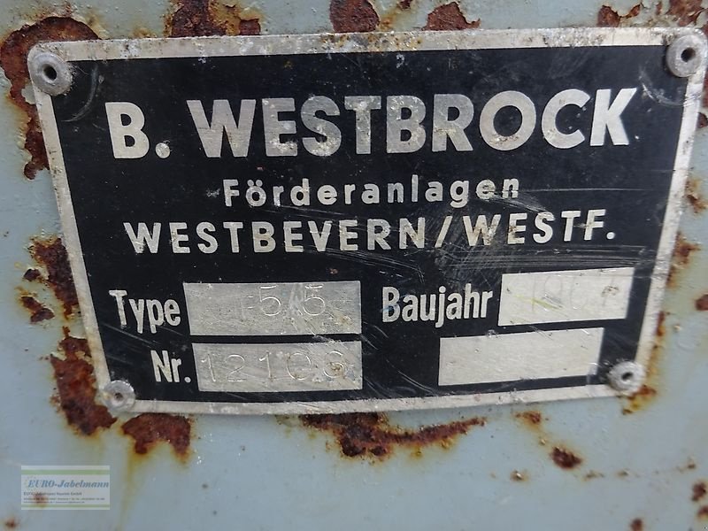 Sonstige Kartoffeltechnik des Typs Sonstige Förderband, Stollenband, 5500 mm lang, Gebrauchtmaschine in Itterbeck (Bild 12)