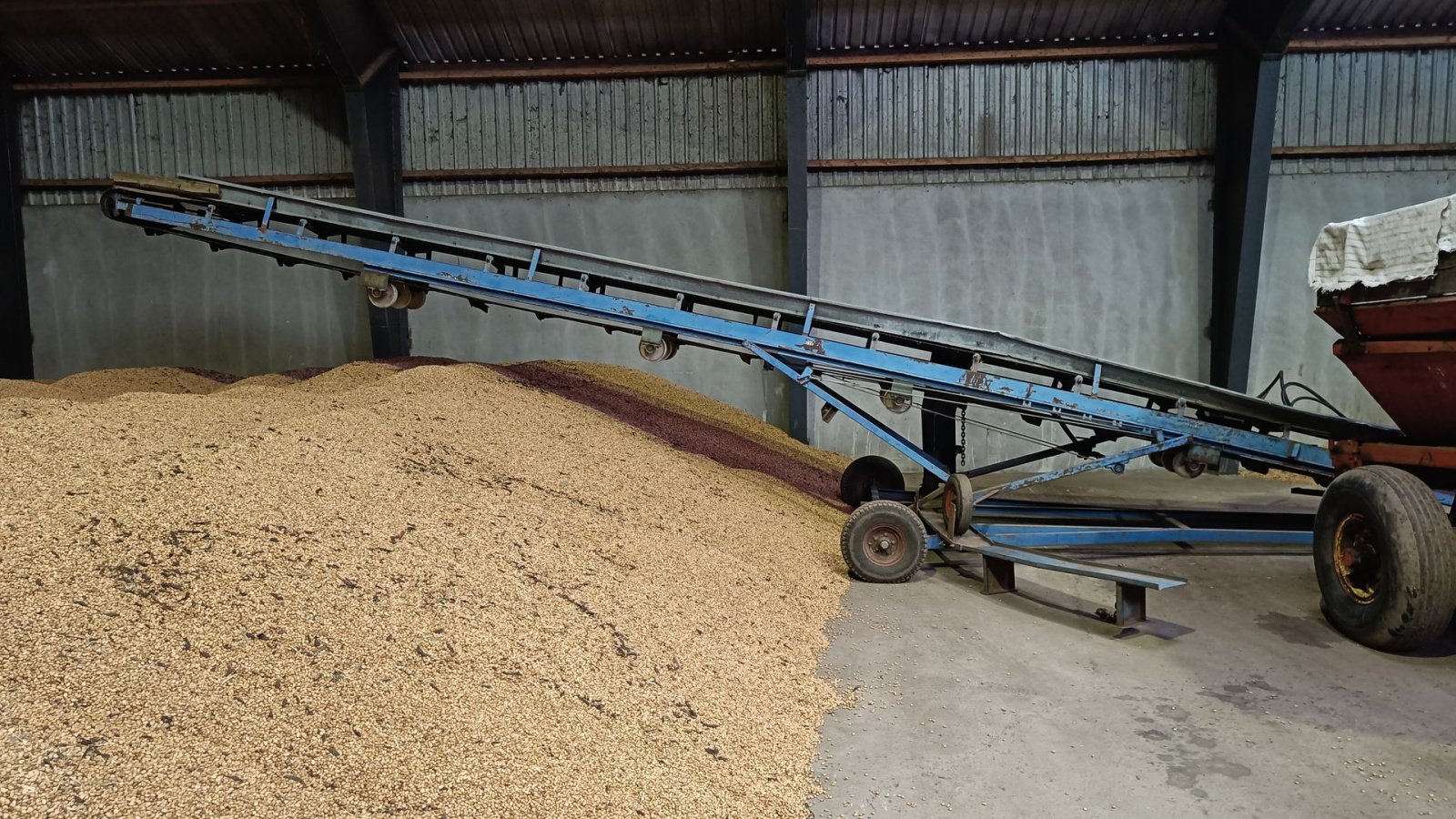 Sonstige Kartoffeltechnik типа Sonstige Kartoffel bånd svingbart, Gebrauchtmaschine в Egtved (Фотография 2)