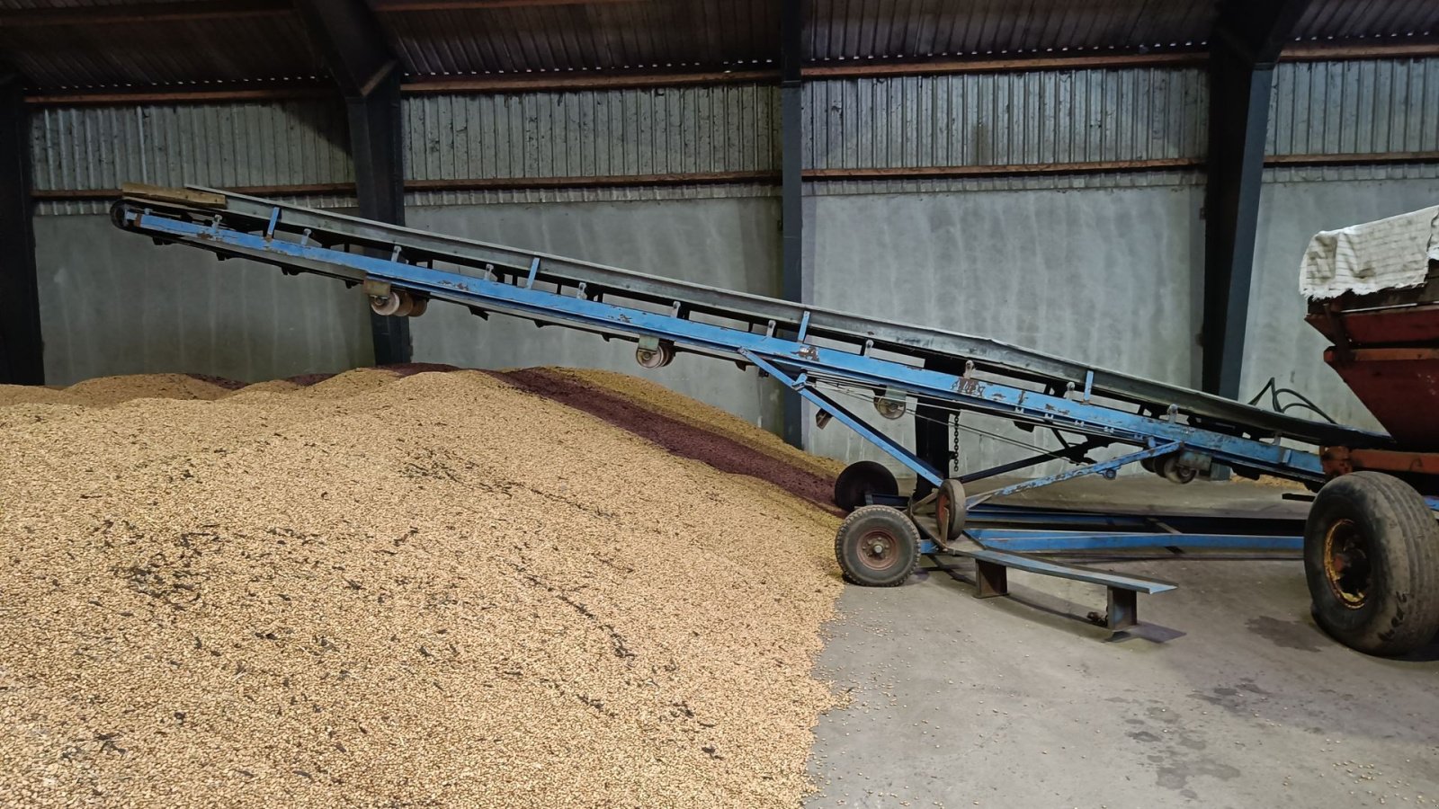 Sonstige Kartoffeltechnik типа Sonstige Kartoffel bånd svingbart, Gebrauchtmaschine в Egtved (Фотография 1)