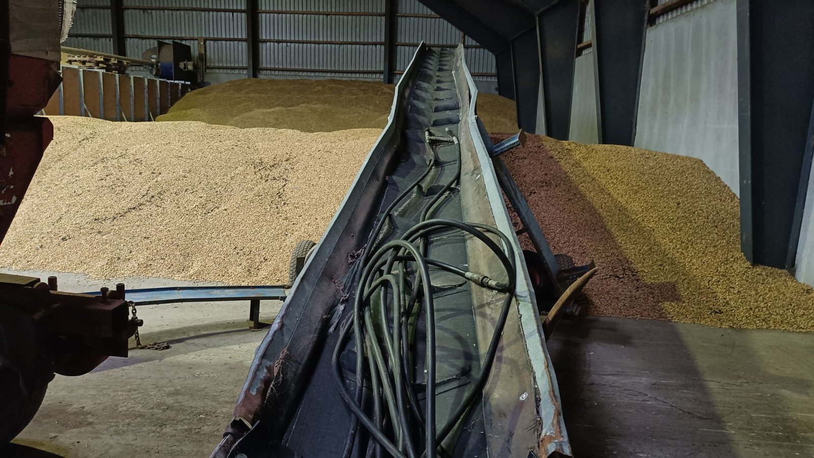 Sonstige Kartoffeltechnik van het type Sonstige Kartoffel bånd svingbart, Gebrauchtmaschine in Egtved (Foto 5)