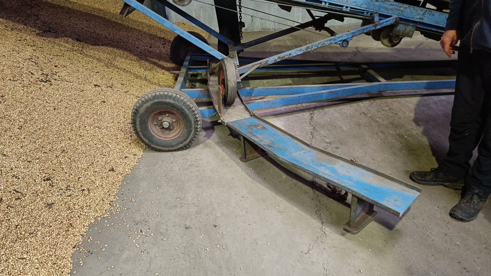 Sonstige Kartoffeltechnik van het type Sonstige Kartoffel bånd svingbart, Gebrauchtmaschine in Egtved (Foto 2)