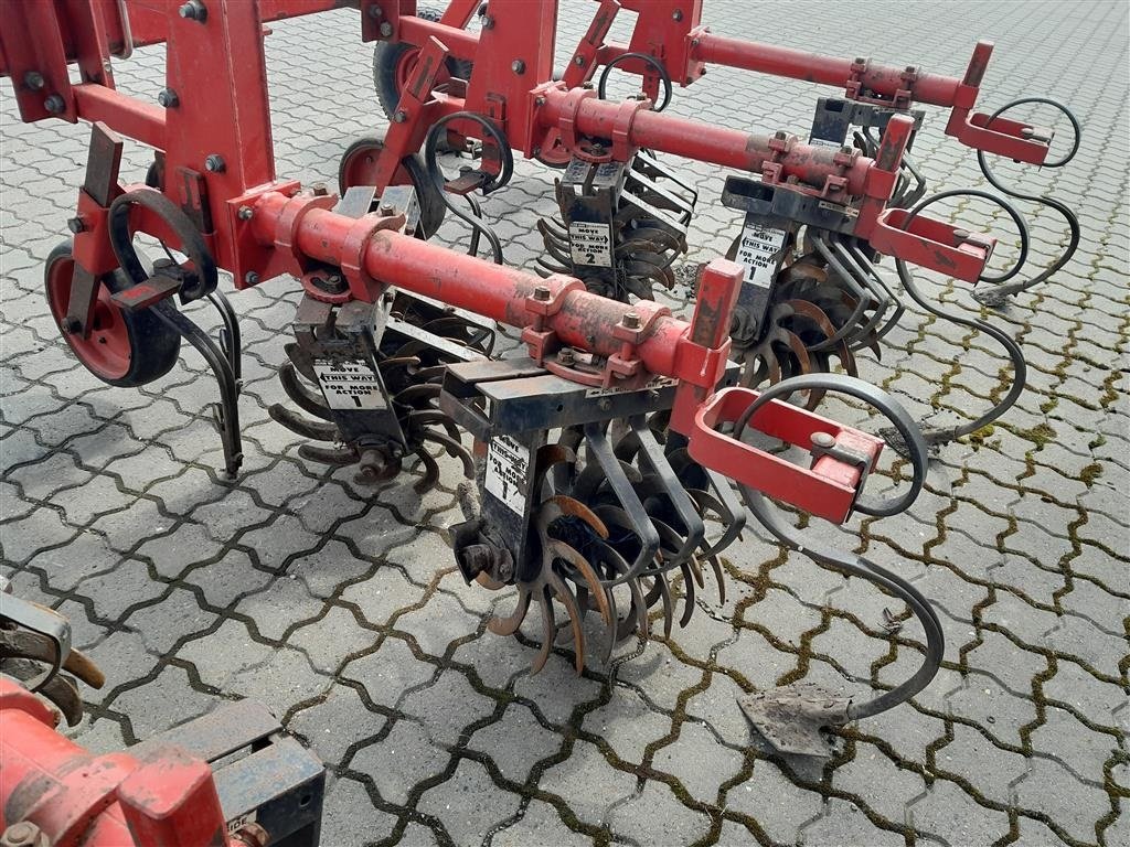 Sonstige Kartoffeltechnik des Typs Sonstige Stjernerullerenser, Gebrauchtmaschine in Horsens (Bild 8)