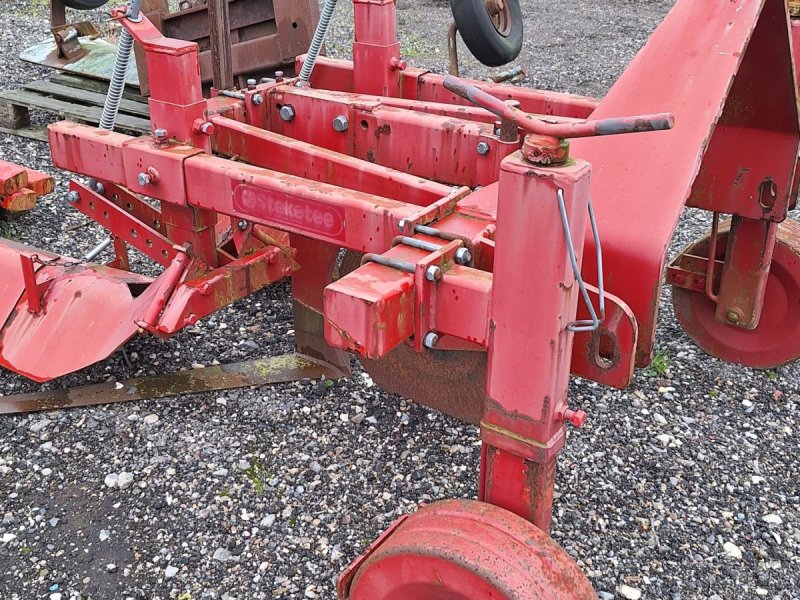 Sonstige Kartoffeltechnik typu Steketee WS1500-2 Rodskærer, Gebrauchtmaschine w Maribo (Zdjęcie 1)