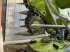 Sonstige Mähdrescherteile des Typs CLAAS ORBIS 600 SD 3T, Gebrauchtmaschine in PONTIVY (Bild 6)
