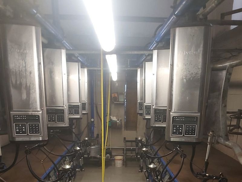 Sonstige Melktechnik & Kühltechnik typu Alfa Laval FMG D-30 Melkstand, Gebrauchtmaschine v St. Marienkirchen (Obrázek 2)