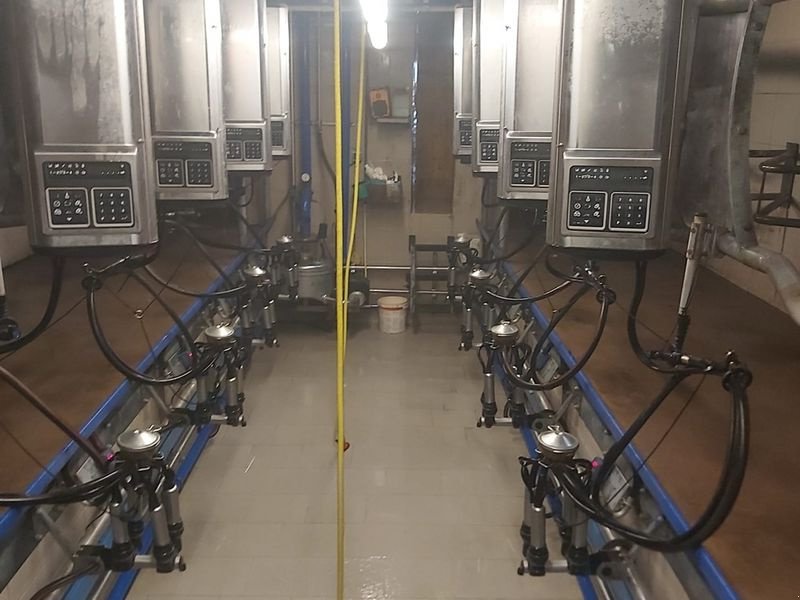 Sonstige Melktechnik & Kühltechnik of the type Alfa Laval FMG D-30 Melkstand, Gebrauchtmaschine in St. Marienkirchen (Picture 1)