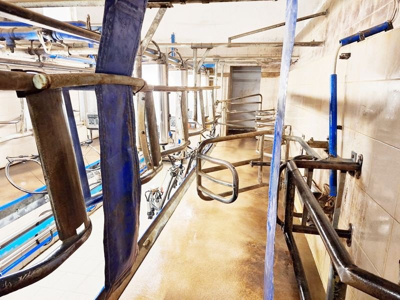 Sonstige Melktechnik & Kühltechnik typu Alfa Laval FMG D-30 Melkstand, Gebrauchtmaschine v St. Marienkirchen (Obrázek 7)