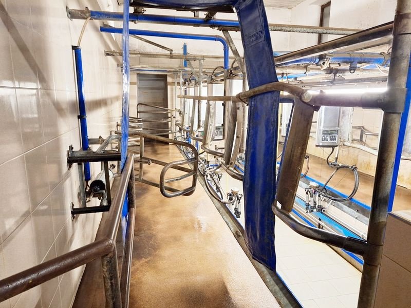 Sonstige Melktechnik & Kühltechnik typu Alfa Laval FMG D-30 Melkstand, Gebrauchtmaschine v St. Marienkirchen (Obrázek 14)