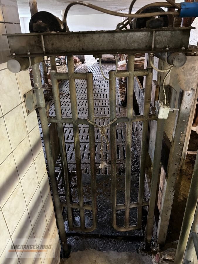 Sonstige Melktechnik & Kühltechnik типа Alfa Laval Melkstand D2 Tandem, Gebrauchtmaschine в Altenfelden (Фотография 4)