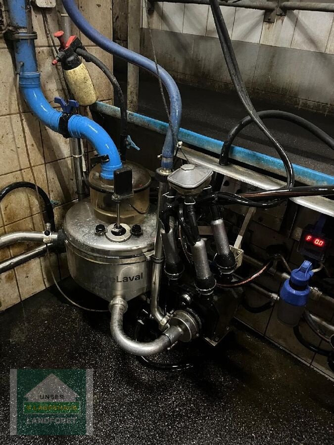Sonstige Melktechnik & Kühltechnik des Typs Alfa Laval Melkstand komplett, Gebrauchtmaschine in Kobenz bei Knittelfeld (Bild 9)
