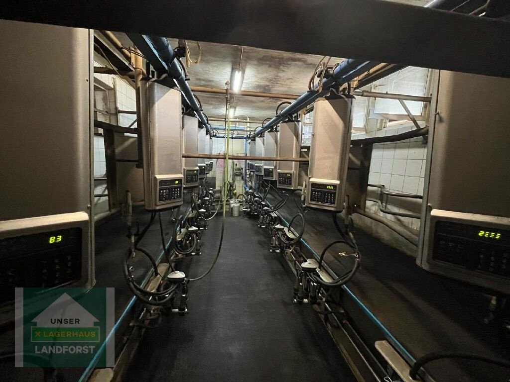 Sonstige Melktechnik & Kühltechnik des Typs Alfa Laval Melkstand komplett, Gebrauchtmaschine in Kobenz bei Knittelfeld (Bild 7)