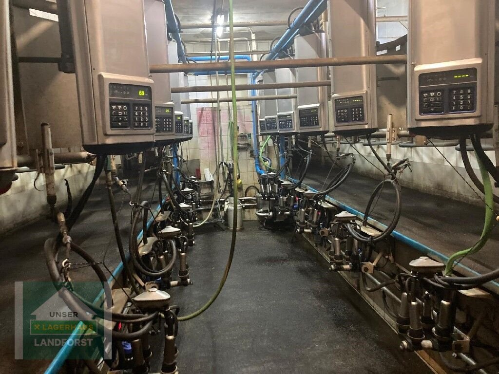 Sonstige Melktechnik & Kühltechnik des Typs Alfa Laval Melkstand komplett, Gebrauchtmaschine in Kobenz bei Knittelfeld (Bild 1)