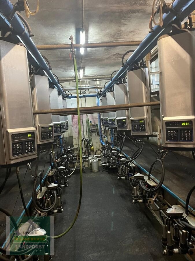 Sonstige Melktechnik & Kühltechnik des Typs Alfa Laval Melkstand komplett, Gebrauchtmaschine in Kobenz bei Knittelfeld (Bild 2)