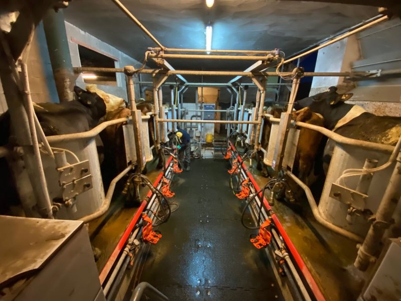 Sonstige Melktechnik & Kühltechnik des Typs Boumatic Melkstand 2x4 FIschgrät, Gebrauchtmaschine in St. Peter am Freienstein (Bild 1)