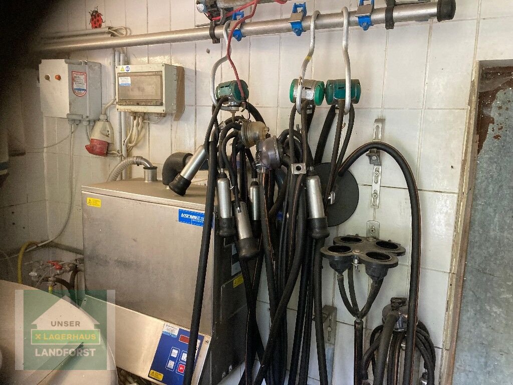Sonstige Melktechnik & Kühltechnik Türe ait Etscheid Rohrmelkanlage, Gebrauchtmaschine içinde Kapfenberg (resim 3)