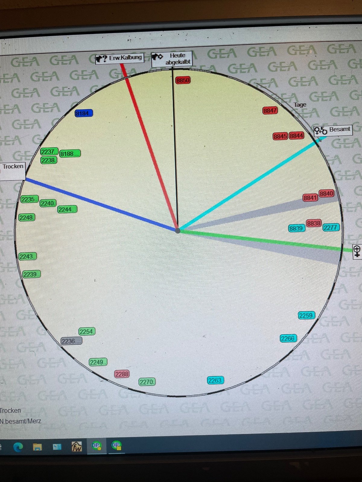 Sonstige Melktechnik & Kühltechnik Türe ait GEA Farm Technologies Kraftfutterstation, Gebrauchtmaschine içinde Brannenburg (resim 5)