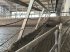 Sonstige Melktechnik & Kühltechnik za tip GEA Farm Technologies Performer Karussell, Gebrauchtmaschine u Pfreimd (Slika 14)