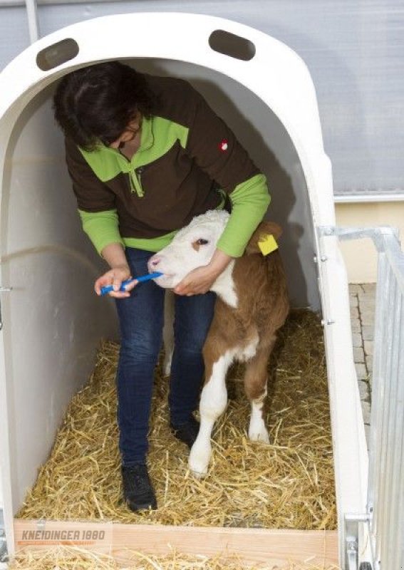 Sonstige Melktechnik & Kühltechnik типа Kerbl Kälberiglu CalfHouse Premium Plus ( 14580 ), Neumaschine в Altenfelden (Фотография 6)