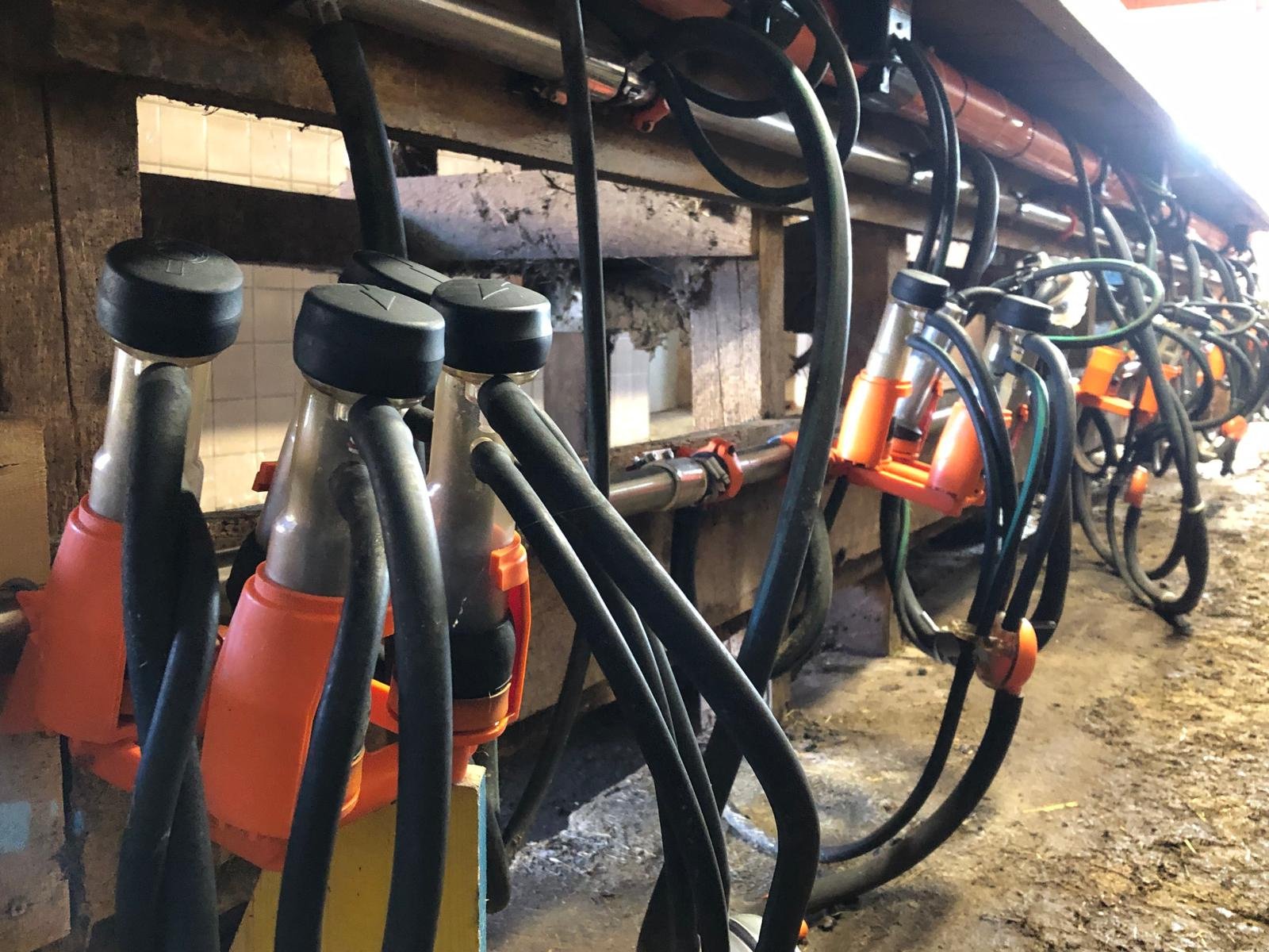 Sonstige Melktechnik & Kühltechnik Türe ait Melotte Ziegenmelkanalge + Waschautomat, Gebrauchtmaschine içinde Rappottenstein (resim 2)