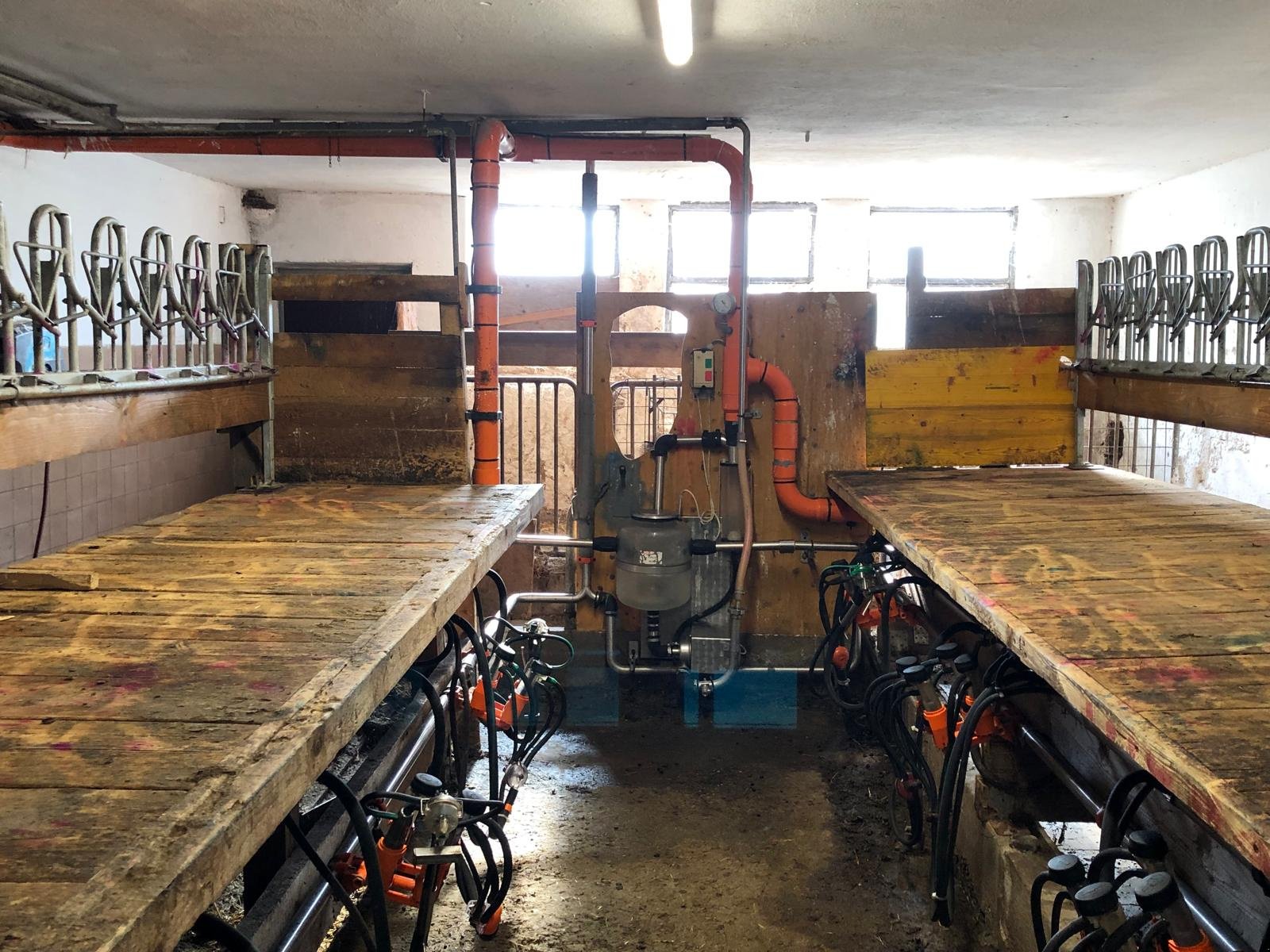 Sonstige Melktechnik & Kühltechnik Türe ait Melotte Ziegenmelkanalge + Waschautomat, Gebrauchtmaschine içinde Rappottenstein (resim 3)