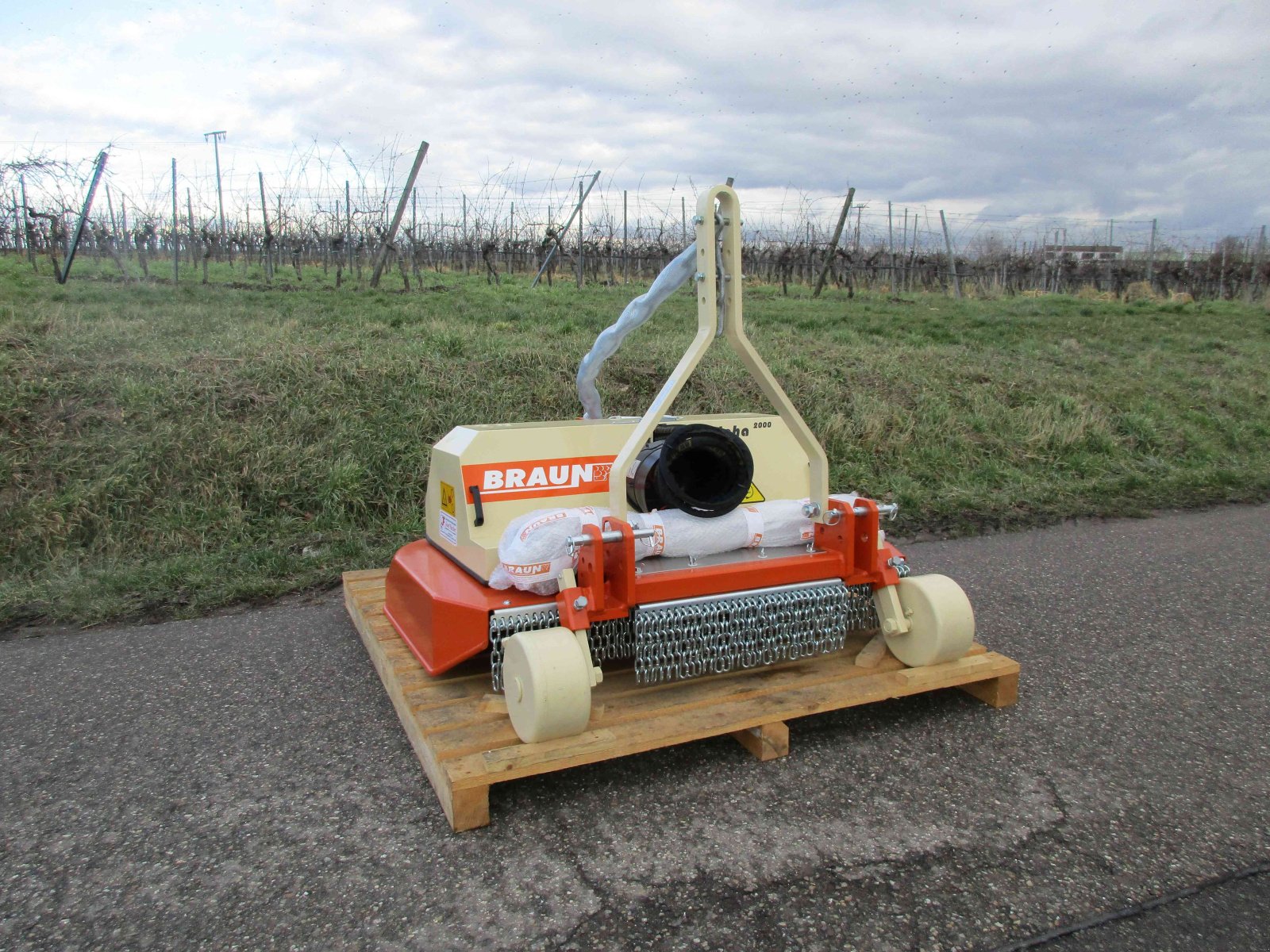 Sonstige Obsttechnik & Weinbautechnik typu Braun Alpha 2000, Neumaschine w Niederkirchen (Zdjęcie 1)