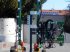 Sonstige Obsttechnik & Weinbautechnik типа CFS Cross Farm Solution Überzeilenstockräumgerät Profi plus, Gebrauchtmaschine в Ziersdorf (Фотография 4)